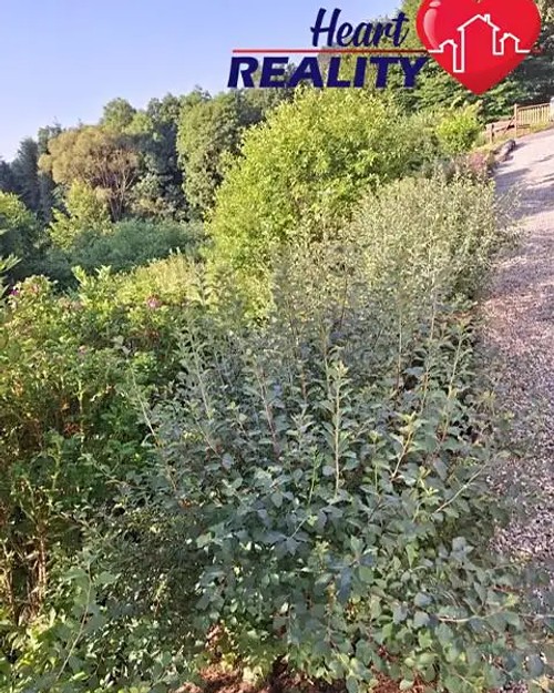 Prodej chaty 178 m², pozemek 1897 m²
