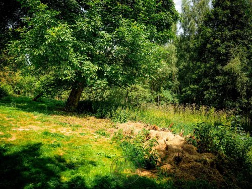 Prodej zemědělské usedlosti 300 m², pozemek 3679 m²