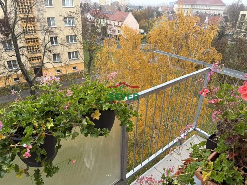 Prodaný byt 3+1 61 m²