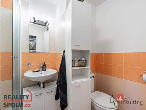 Prodaný byt 3+1 66 m²