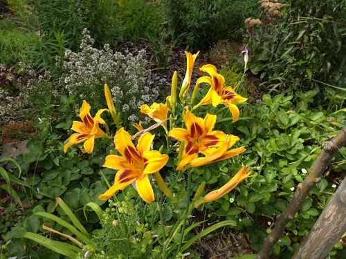 Prodej bytu 2+1 56 m²