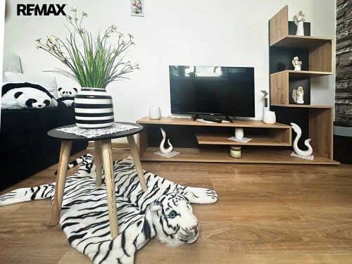 Prodej bytu 3+1 55 m²