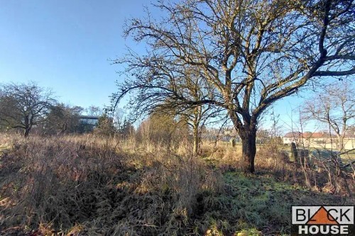 Prodej zemědělské usedlosti 113 m², pozemek 6470 m²