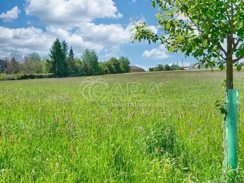 Prodej stavebního pozemku 5569 m²