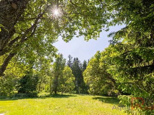 Prodej stavebního pozemku 991 m²