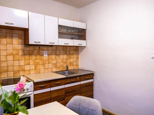 Prodej bytu 1+1 30 m²