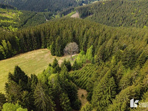 Prodej stavebního pozemku 943 m²