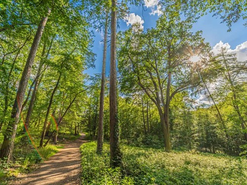 Prodej bytu 1+kk 33 m²