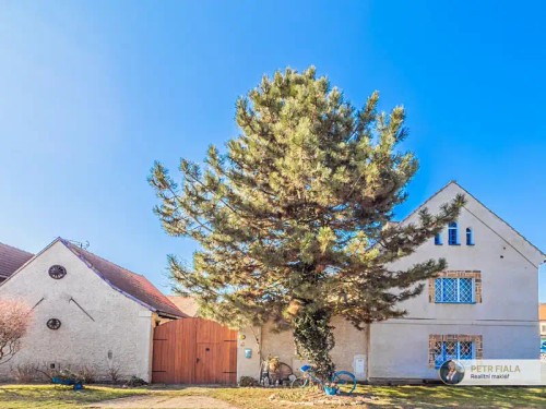 Prodej domu 133 m², pozemek 1273 m²