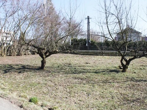 Prodej stavebního pozemku 905 m²