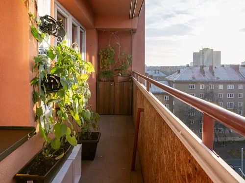 Prodaný  byt 3+1 60 m²