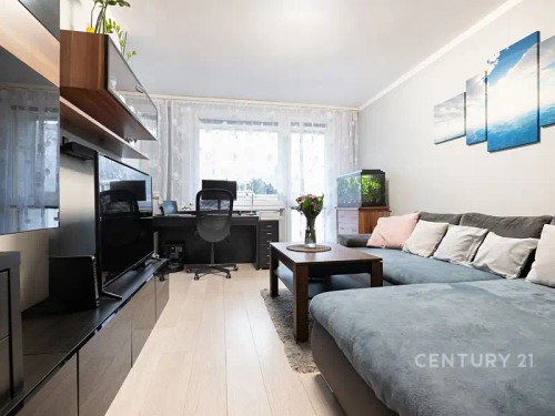 Prodaný  byt 3+1 53 m²