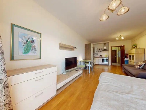 Prodaný byt 1+kk 38 m²