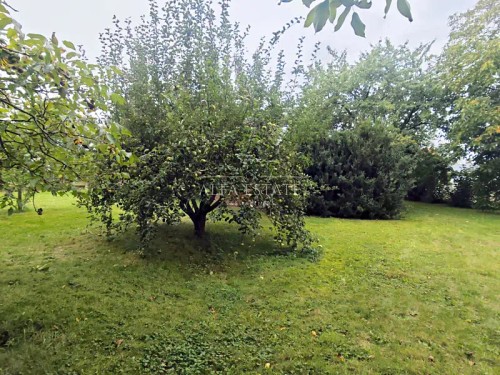 Prodej domu 200 m², pozemek 2125 m²