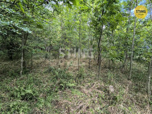 Prodej stavebního pozemku 5732 m²
