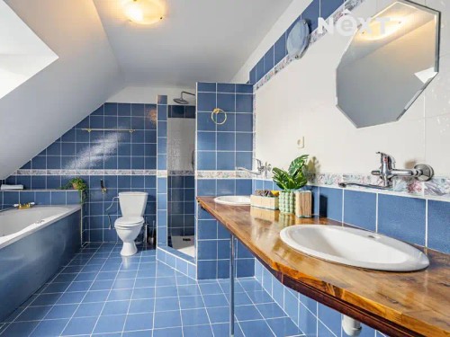 Prodej chalupy 360 m², pozemek 2756 m²