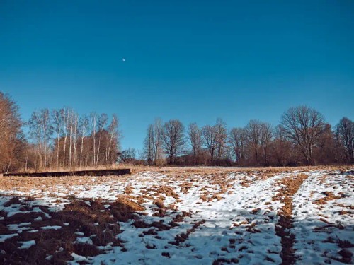 Prodej domu 260 m², pozemek 3307 m²