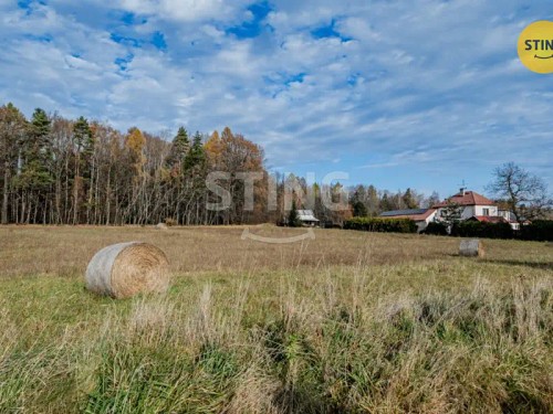 Prodej stavebního pozemku 1000 m²
