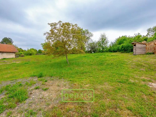 Prodej domu 388 m², pozemek 3321 m²