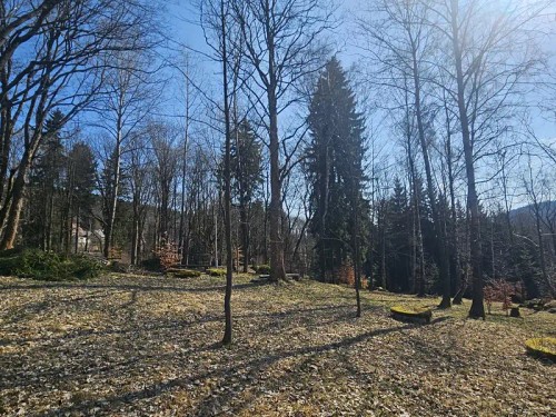 Prodej domu 635 m², pozemek 11396 m²