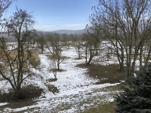 Prodej bytu 1+1 45 m²