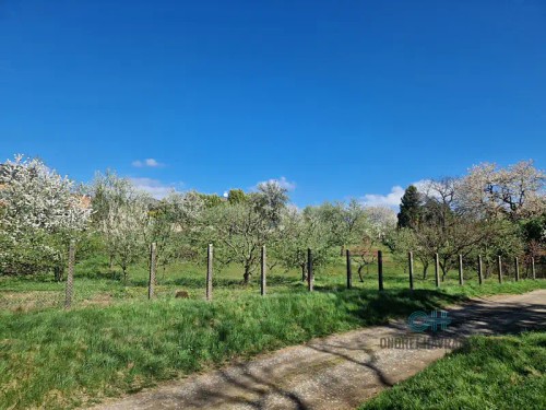 Prodej domu 165 m², pozemek 1871 m²