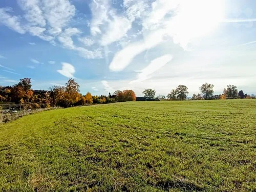 Prodej projektu 120 m², pozemek 1178 m²