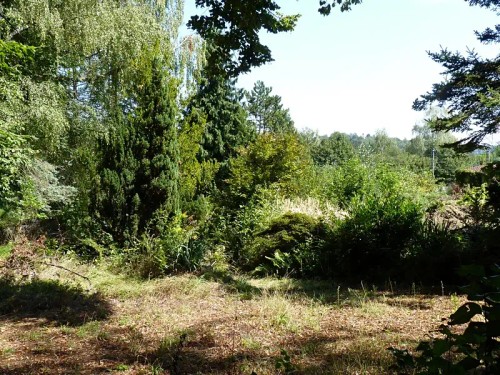 Prodej stavebního pozemku 770 m²