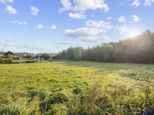 Prodej stavebního pozemku 2600 m²