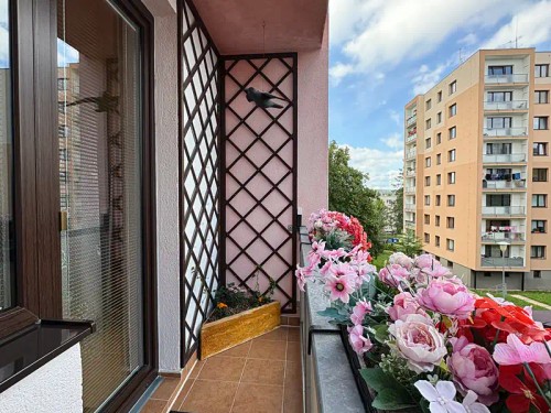 Prodej bytu 2+1 55 m²