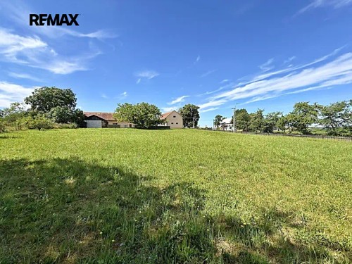 Prodej stavebního pozemku 1131 m²
