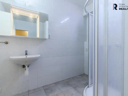 Prodaný byt 1+1 46 m²