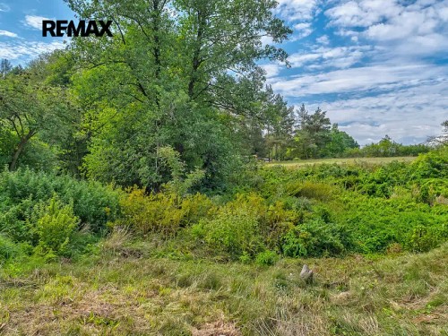 Prodej chaty 46 m², pozemek 878 m²