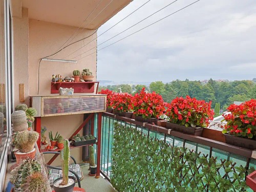 Prodej bytu 3+1 70 m²