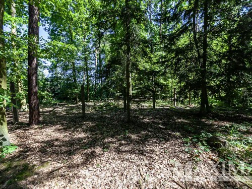 Prodaný byt 5+kk 119 m²