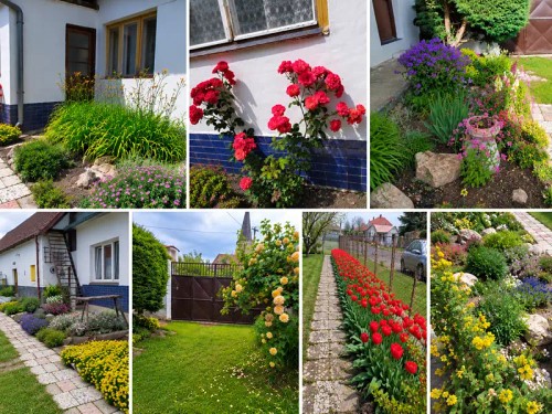 Prodej zemědělské usedlosti 140 m², pozemek 1529 m²