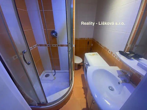 Prodaný byt 1+kk 21 m²