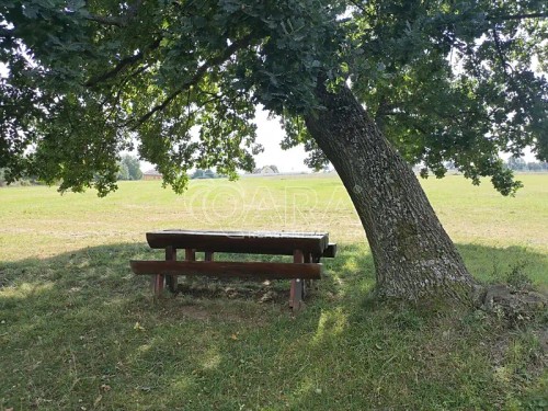 Prodej stavebního pozemku 5569 m²