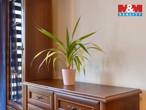 Prodaný byt 3+kk 70 m²