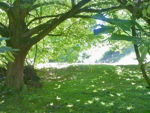 Prodej domu 250 m², pozemek 3343 m²