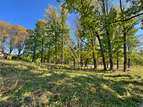 Prodej domu 65 m², pozemek 6057 m²