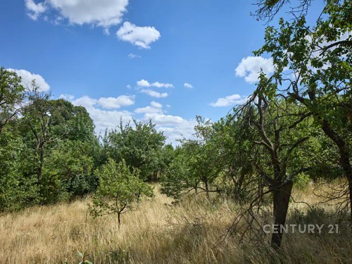 Prodej domu 80 m², pozemek 2336 m²
