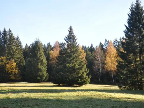 Prodej bytu 2+kk 35 m²