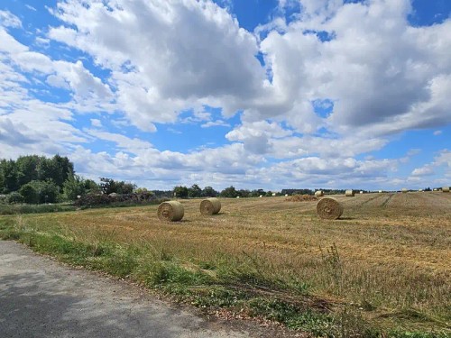 Prodej domu 100 m², pozemek 775 m²