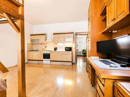 Prodej bytu 1+1 45 m²