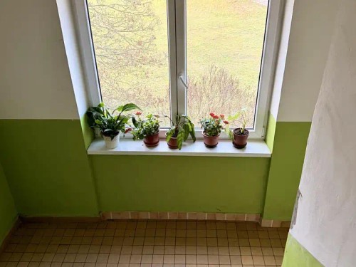 Prodej bytu 2+1 55 m²