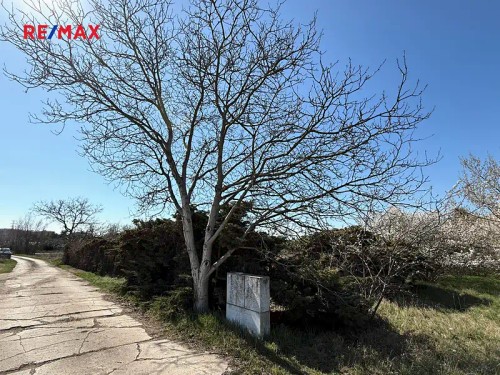 Prodej stavebního pozemku 2978 m²