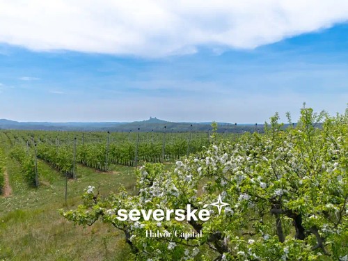 Prodej stavebního pozemku 5316 m²