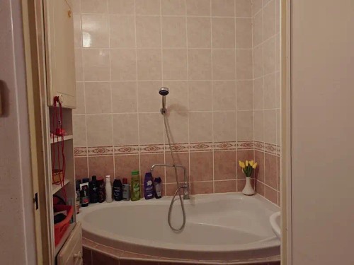 Prodaný byt 3+1 71 m²