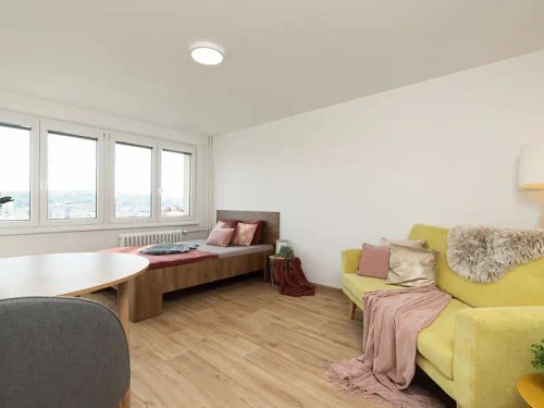 Prodej bytu 1+1 29 m²